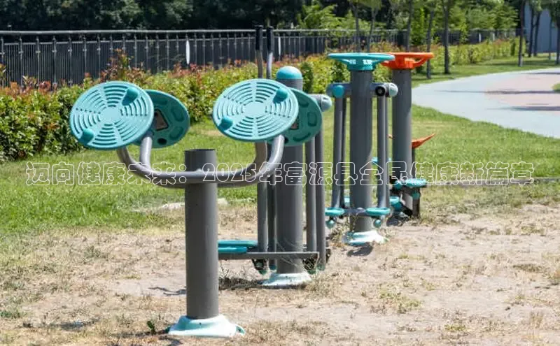 333体育官网入口