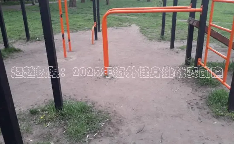 333体育平台网页下载