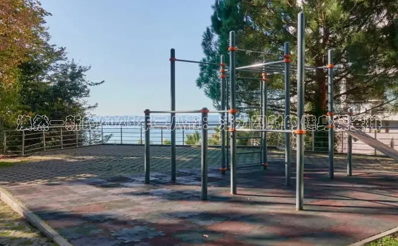 333体育官网入口