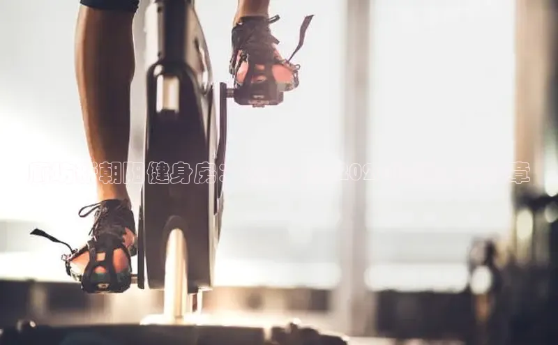 333体育官网入口