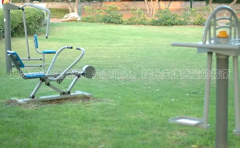 333体育平台官网