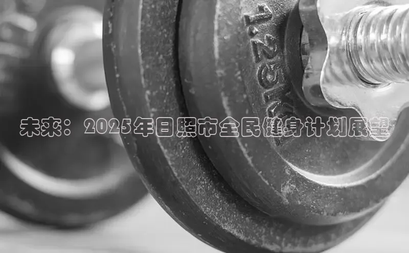 333体育平台网页版