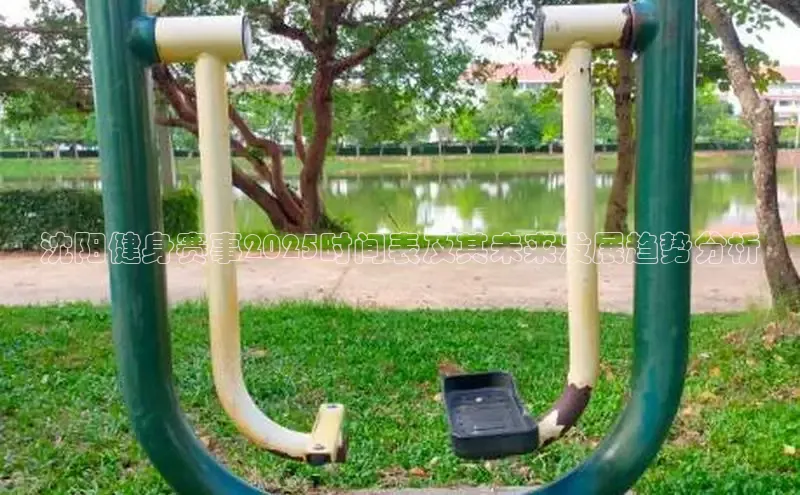 333体育平台网页版