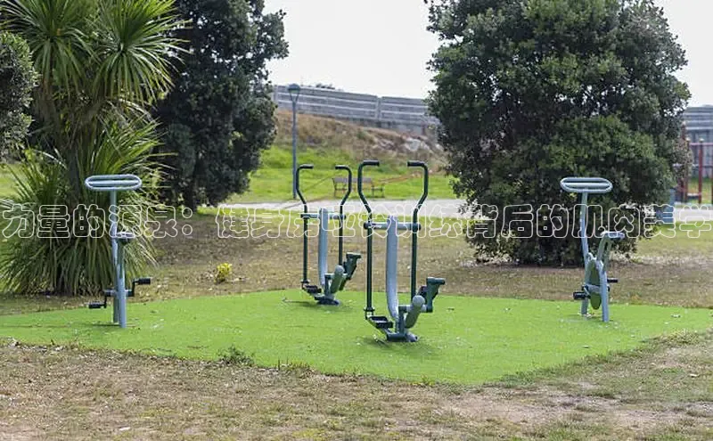 3377体育官方网站